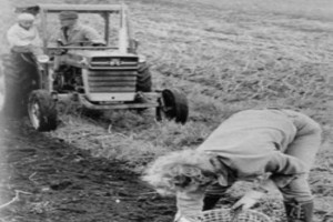 Bilde av Eian Nordre